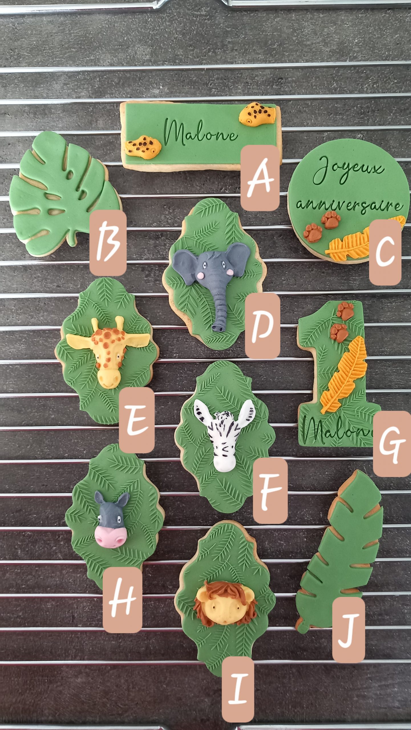 Thème Safari - Image 2