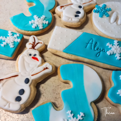 Thème « Reine des neiges »